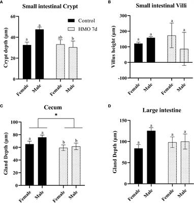 Human Milk Oligosaccharides Impact Cellular and Inflammatory Gene Expression and Immune Response